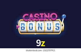 Programa VIP 9z